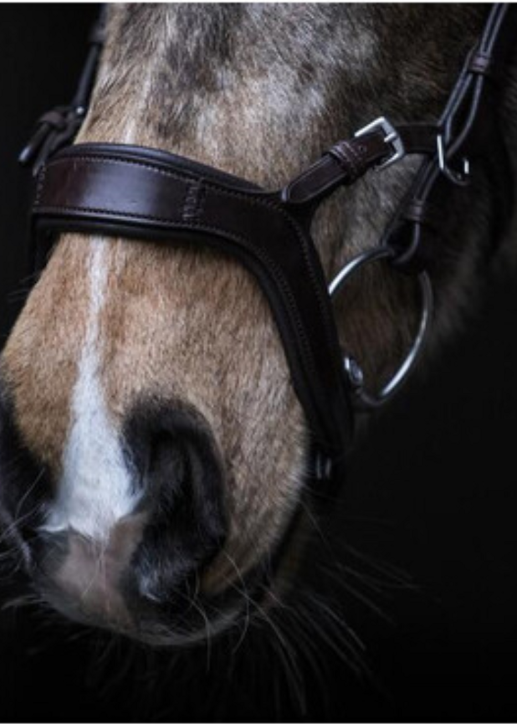 LJ Leathers LJ Pro , Jackson ,  Hoofdstel  PS109