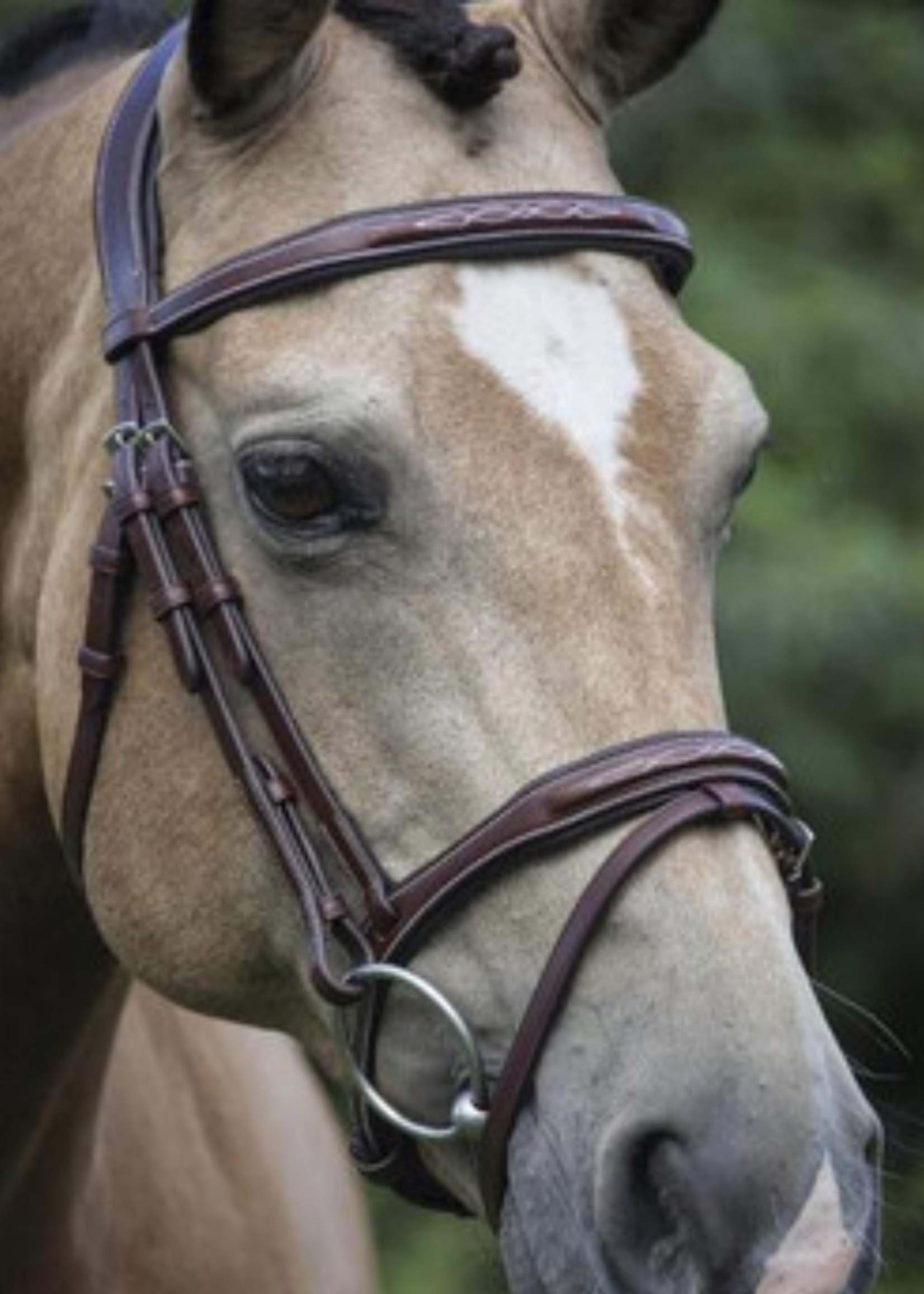 LJ Leathers LJ Pro Legacy Gecombineerde Neusriem