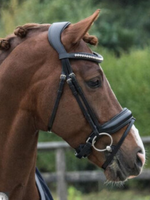 LJ Leathers LJ Pro Select, Superior Lak, gecombineerd,  Hoofdstel  PS107