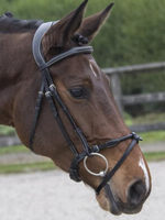 LJ Leathers LJ Pro, Legacy/Filuma Hoofdstel