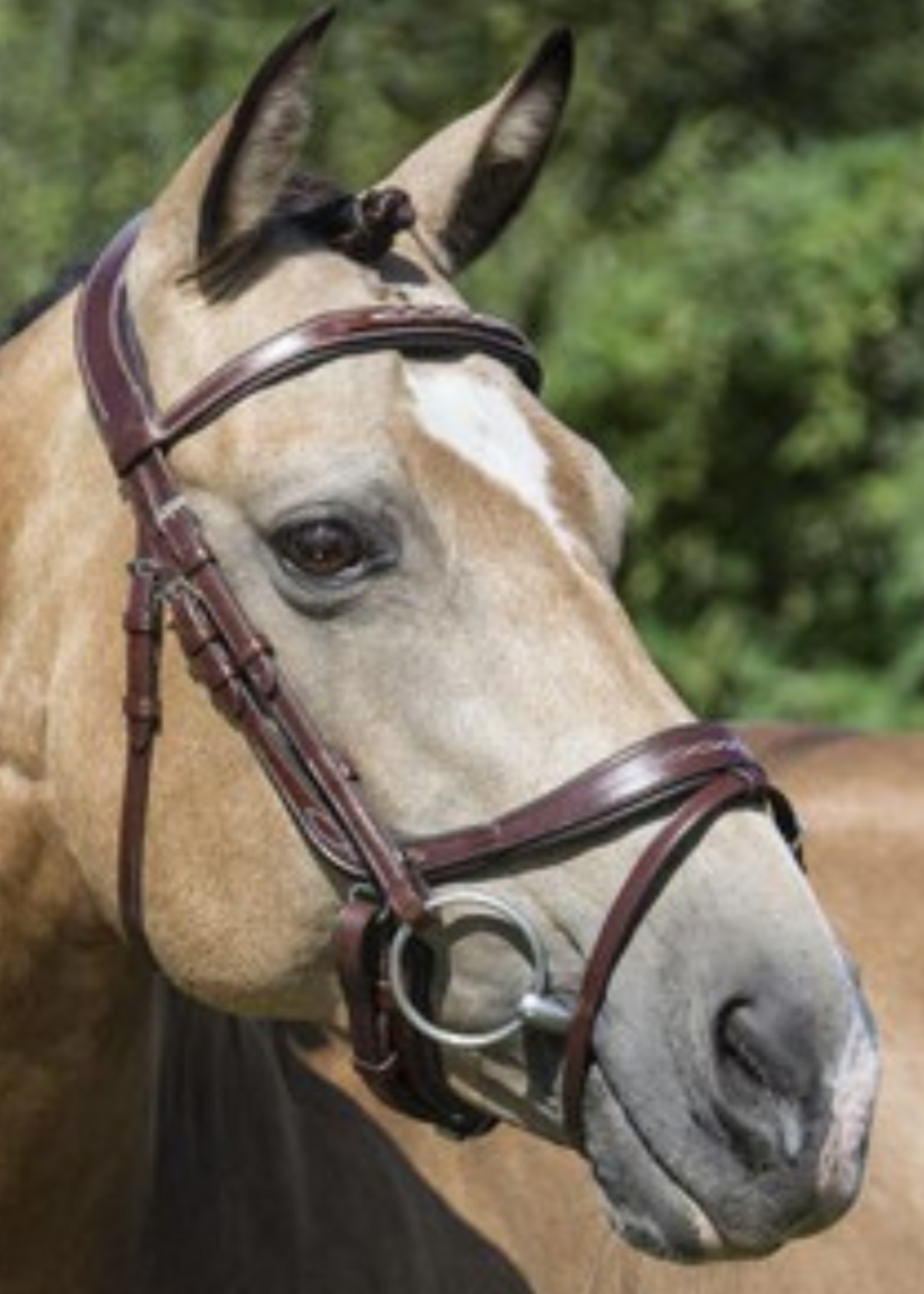 LJ Leathers LJ Pro, Legacy/Primus Hoofdstel ps105-610