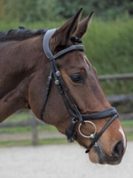 LJ Leathers LJ Pro, Legacy/Primus Hoofdstel