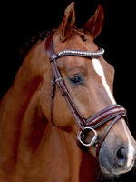 LJ Leathers LJ Pro, Superior , Aansnoer Hoofdstel