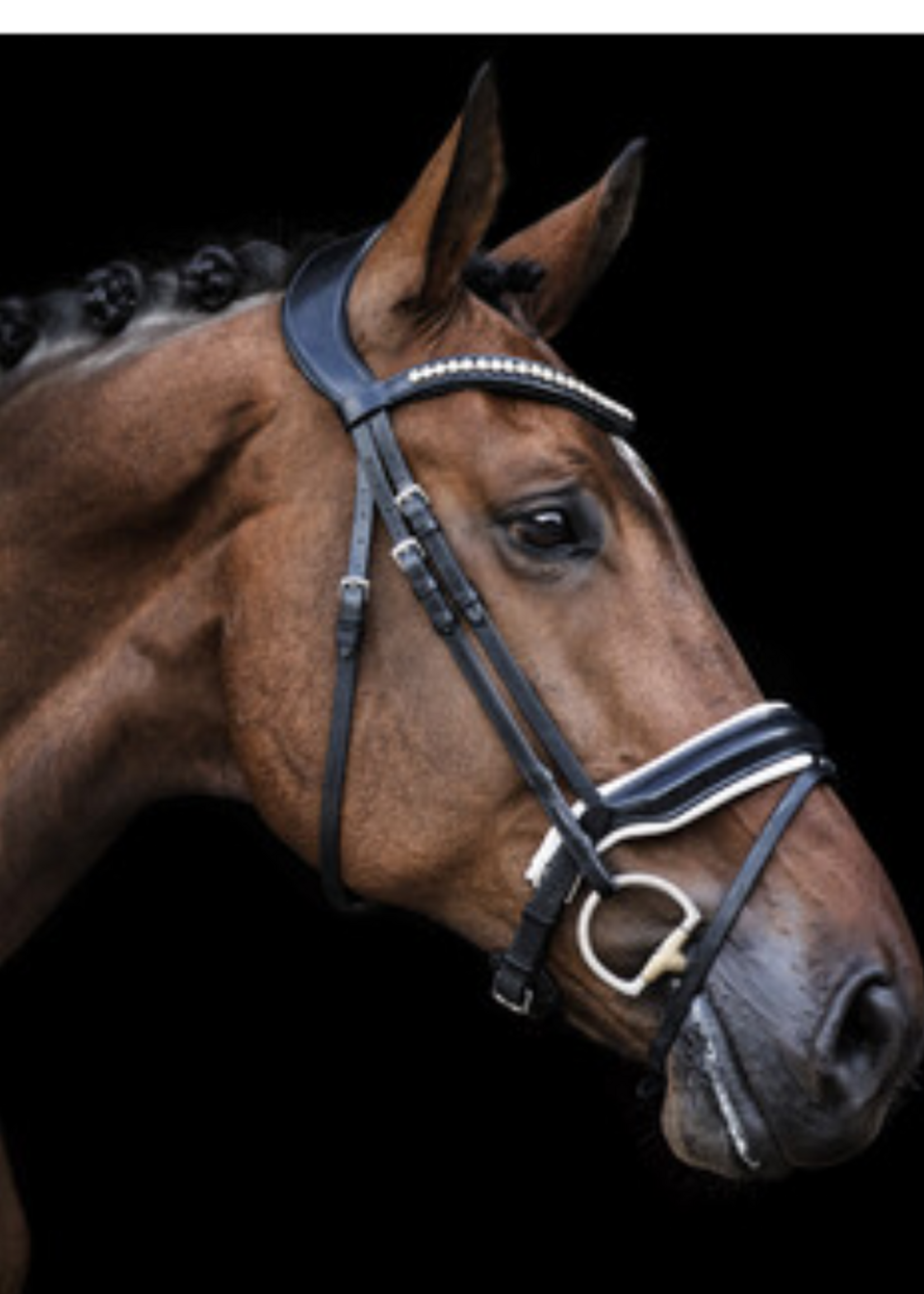 LJ Leathers LJ Pro, Superior , Aansnoer Hoofdstel