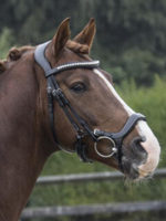 LJ Leathers LJ Pro, Superior , Polidor Hoofdstel