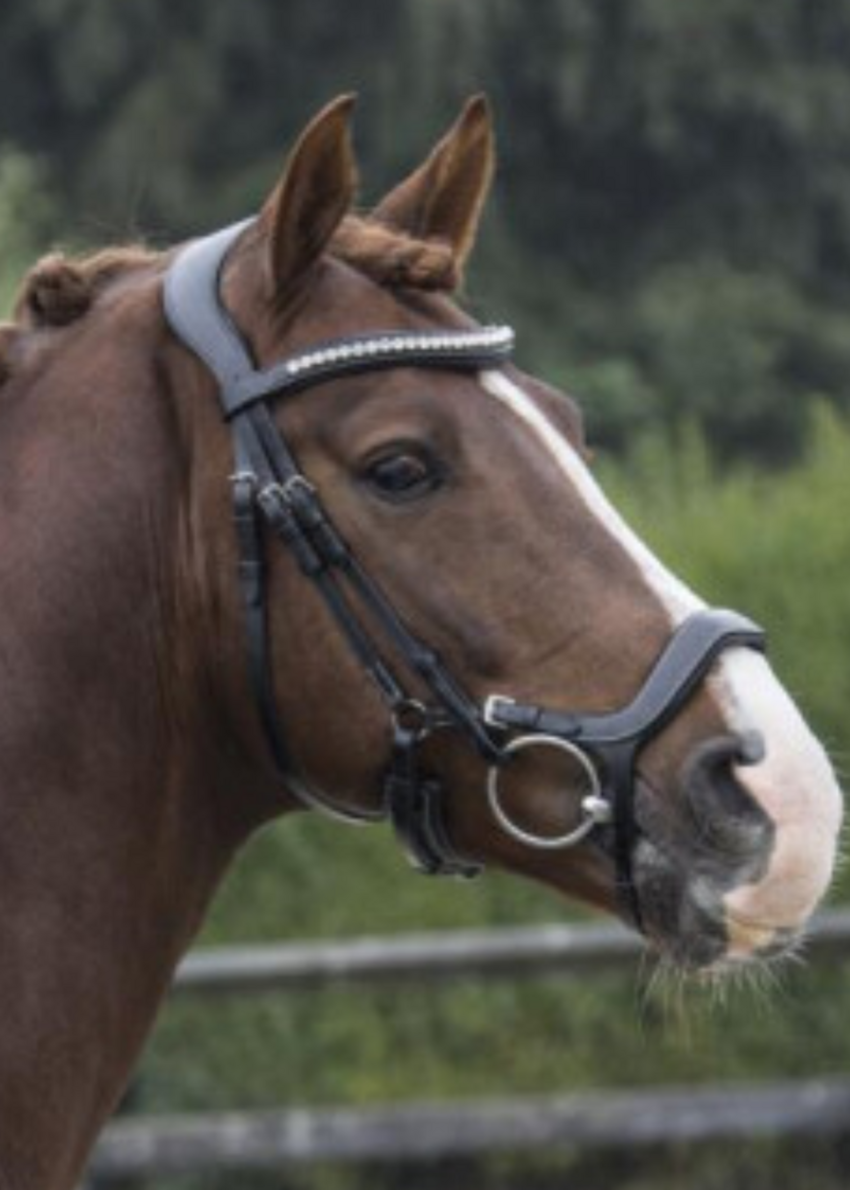 LJ Leathers LJ Pro, Superior , Polidor Hoofdstel ps107k