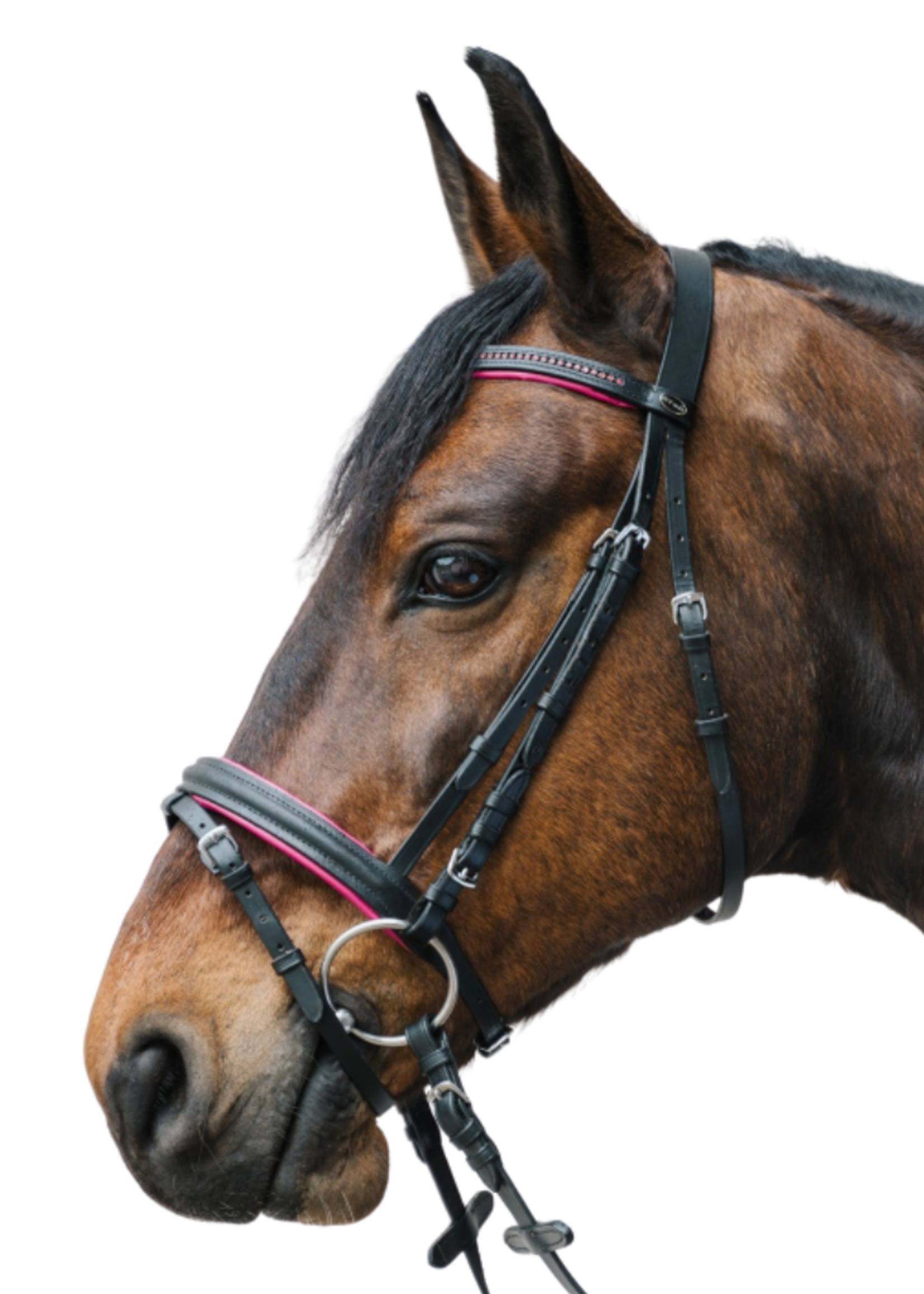 Waldhausen Waldh Diamant Hoofdstel