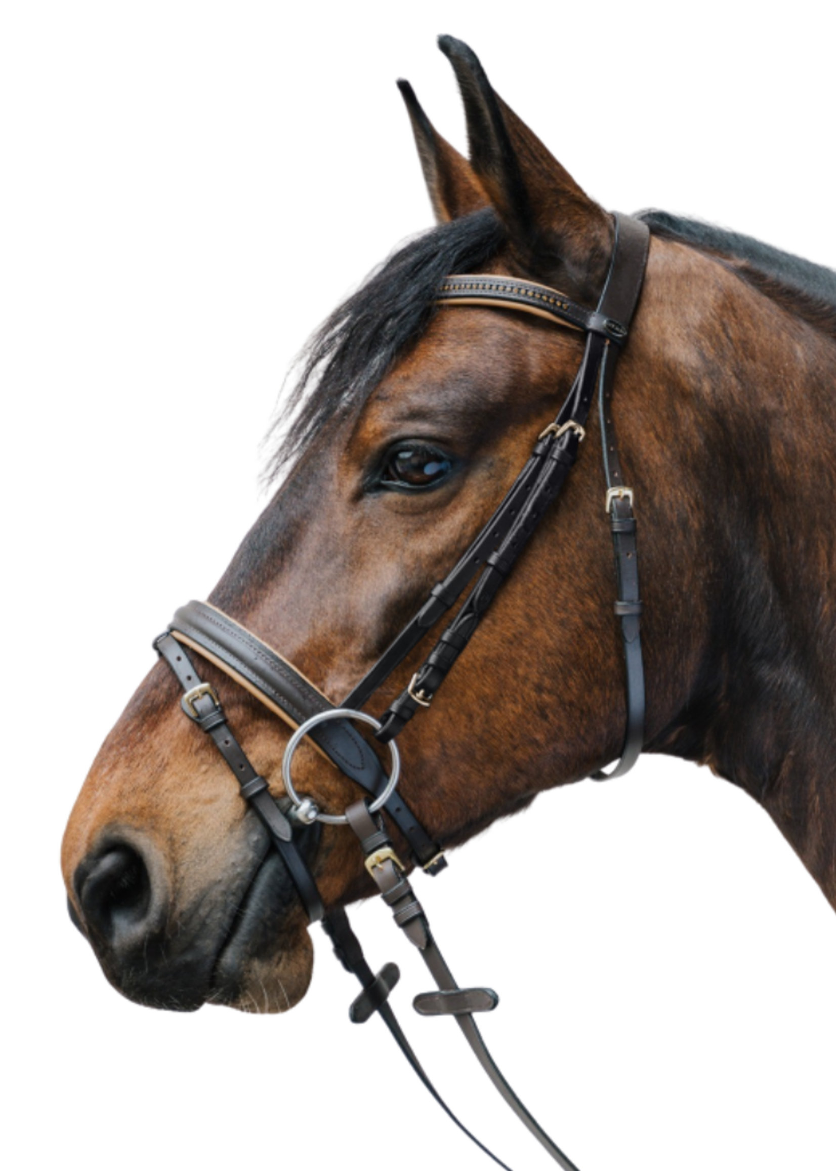 Waldhausen Waldh Diamant Hoofdstel