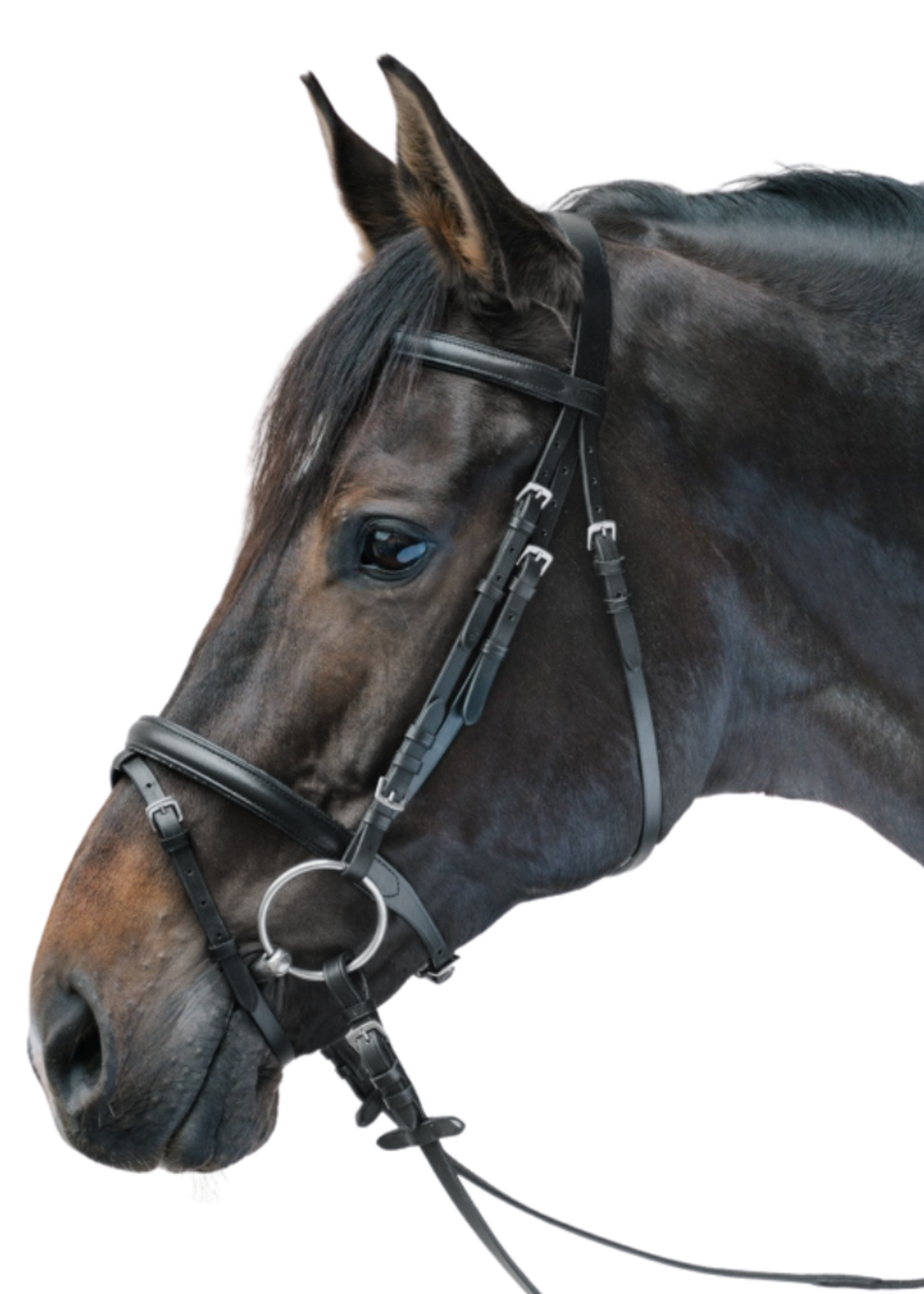 Waldhausen Waldh Star Hoofdstel