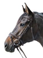 Waldhausen Waldh Star Hoofdstel