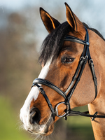 HFI HFI Elegant  Hoofdstel