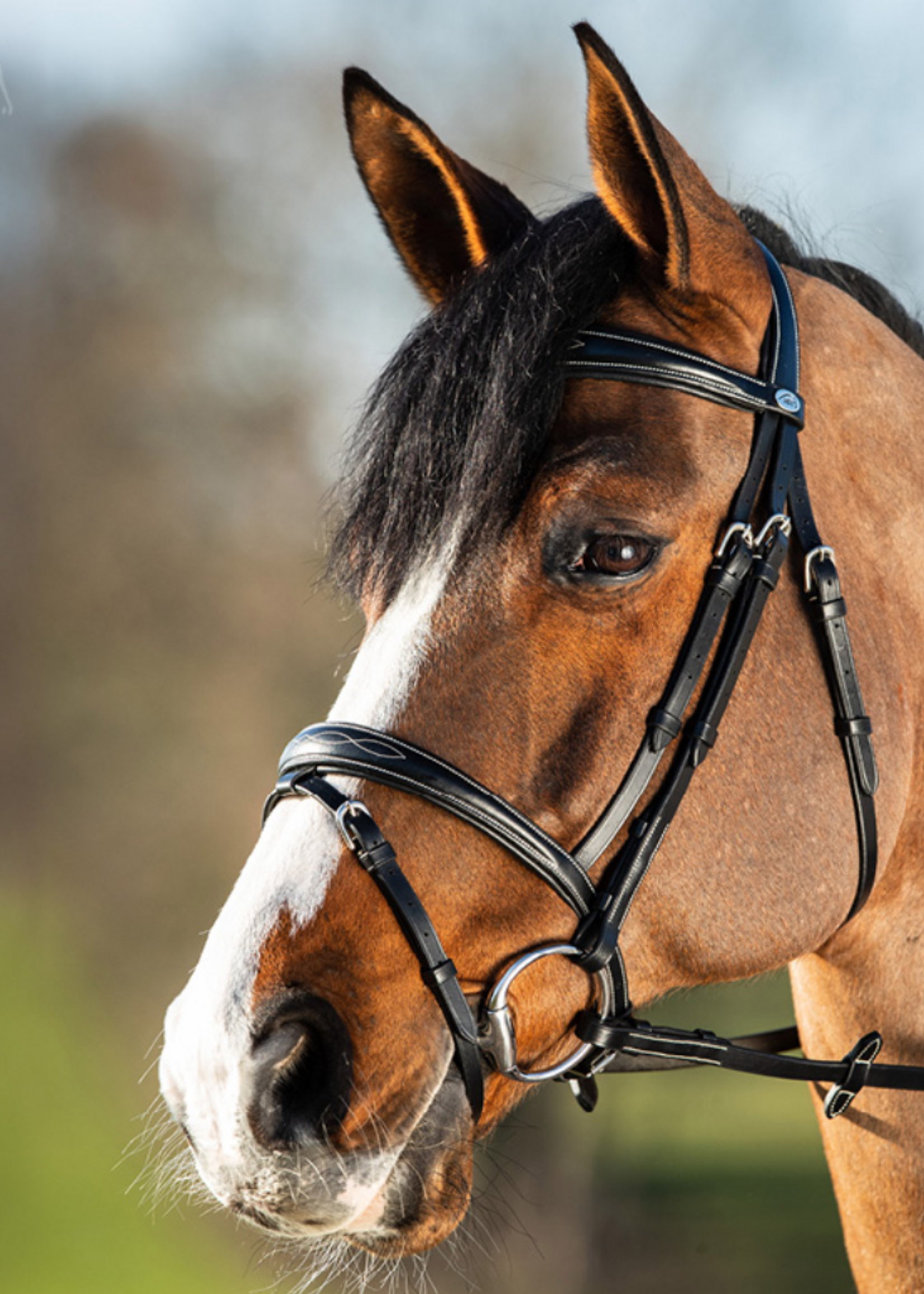 HFI HFI Elegant  Hoofdstel 708