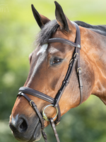 HFI HFI Soft Hoofdstel