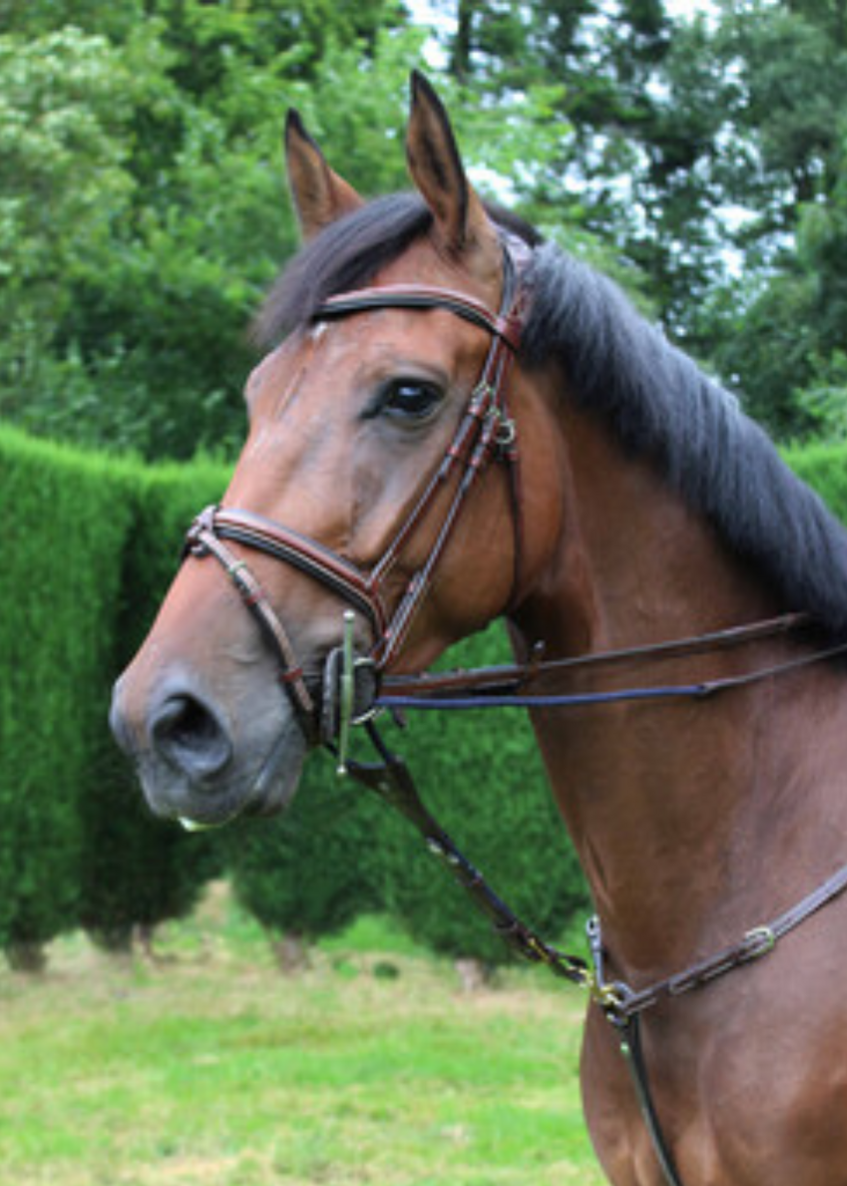 LJ Leathers LJ M Koord Jump Assist by Symons PS501.2