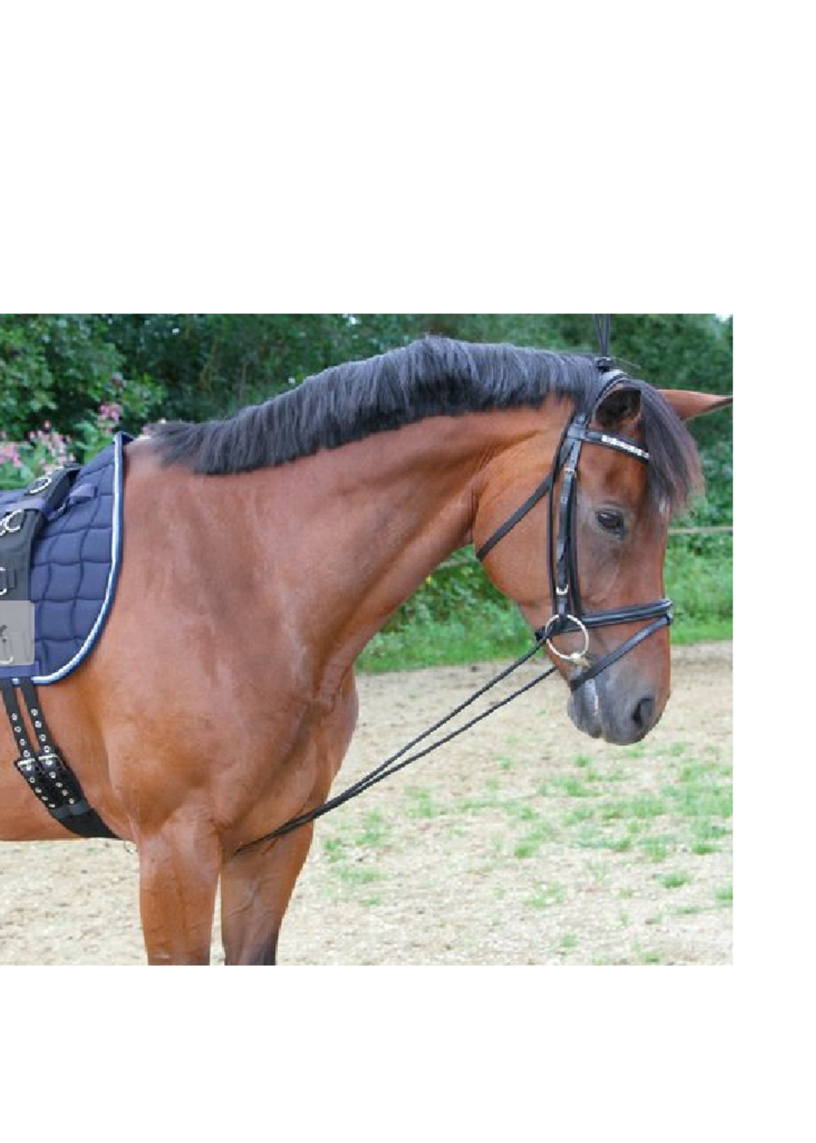 Premiere Premiere Elastische Halsverlenger 229903