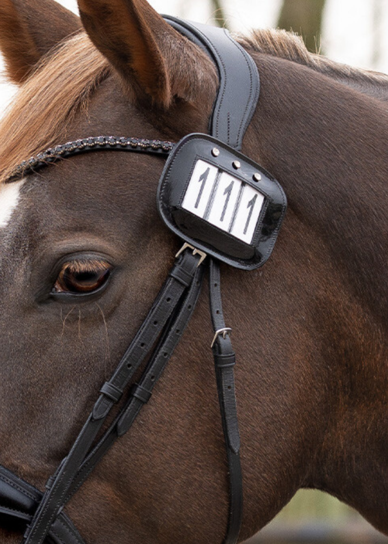 QHP QHP nummerhouder 2117