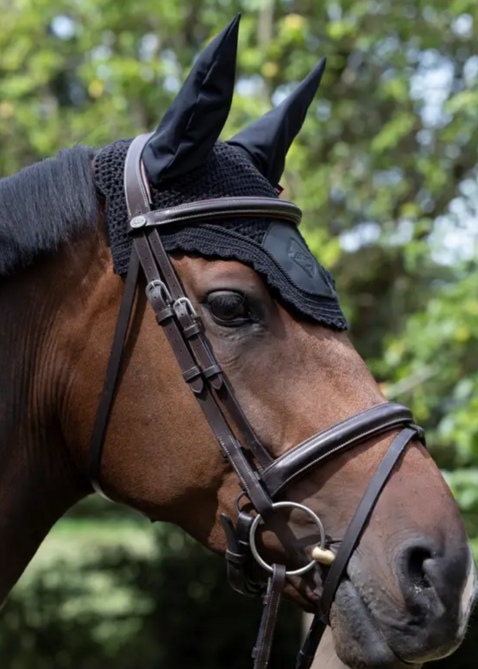 LeMieux Lemieux Soundless Pro  Oornetje