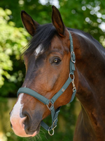 Waldhausen Waldh Trinidad Halster