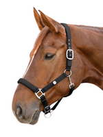 Waldhausen Waldh Trinidad Halster