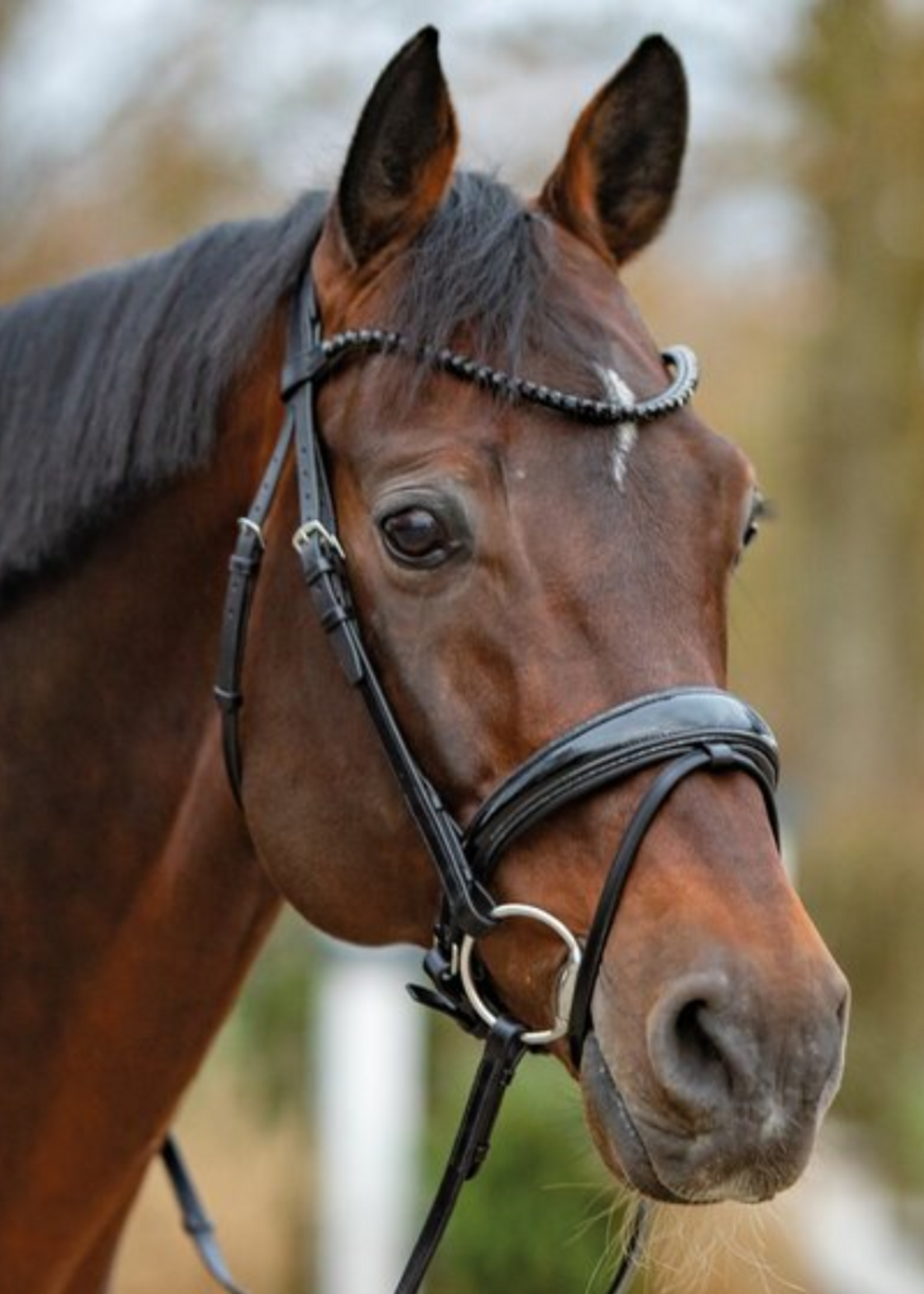 Passier Passier Noblesse Aansnoer  Hoofdstel 836