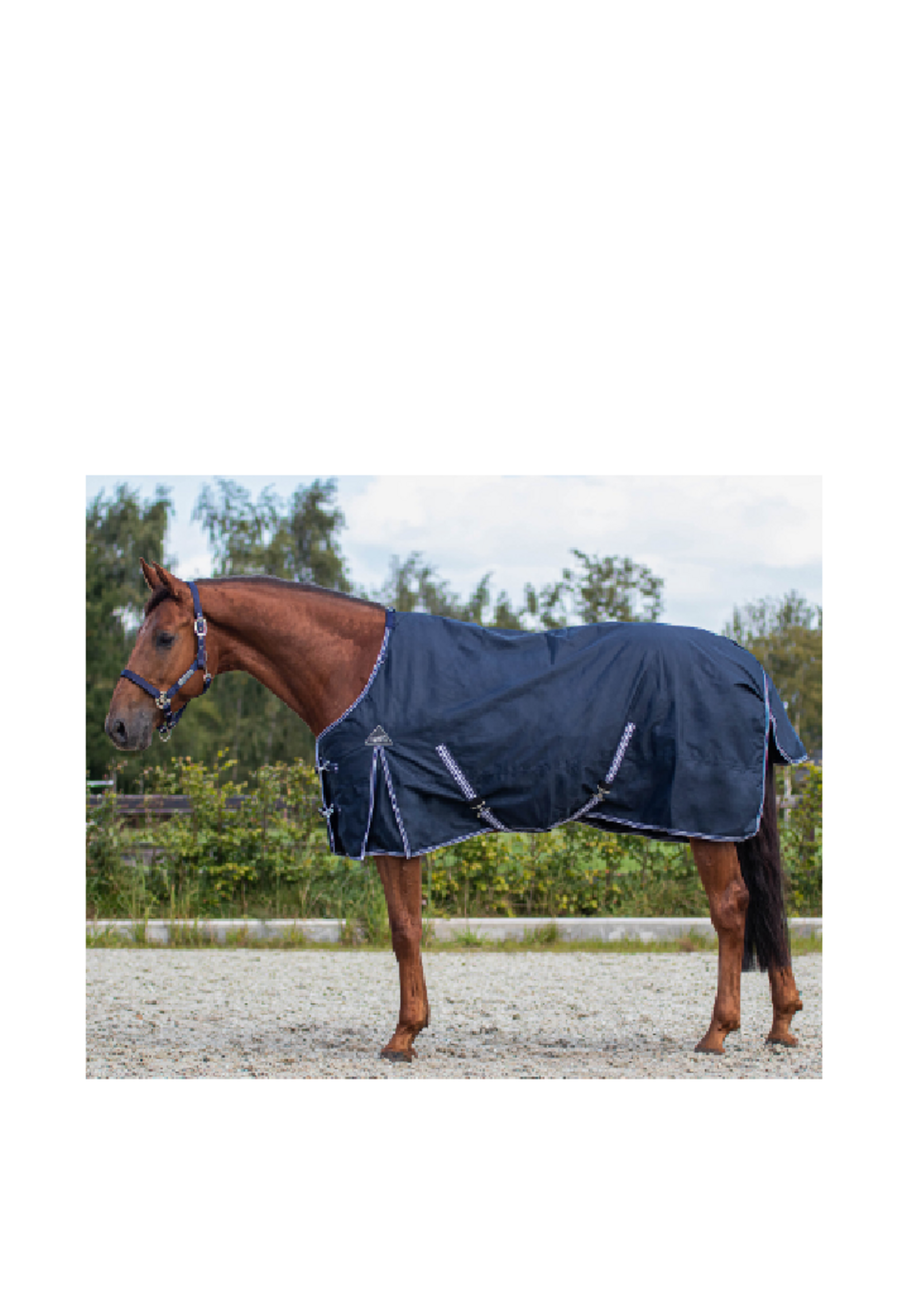 QHP QHP Basis Luxe  Waterdichte Deken 200gr  6176