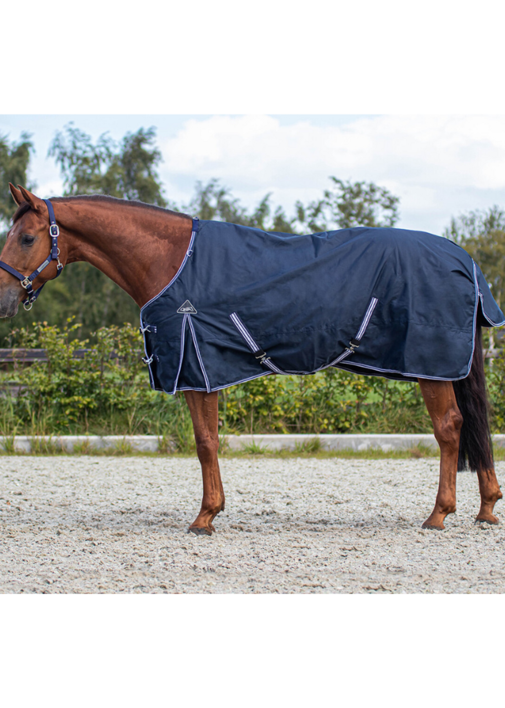 QHP QHP Basis Luxe  Waterdichte Pony Deken 100gr  6175