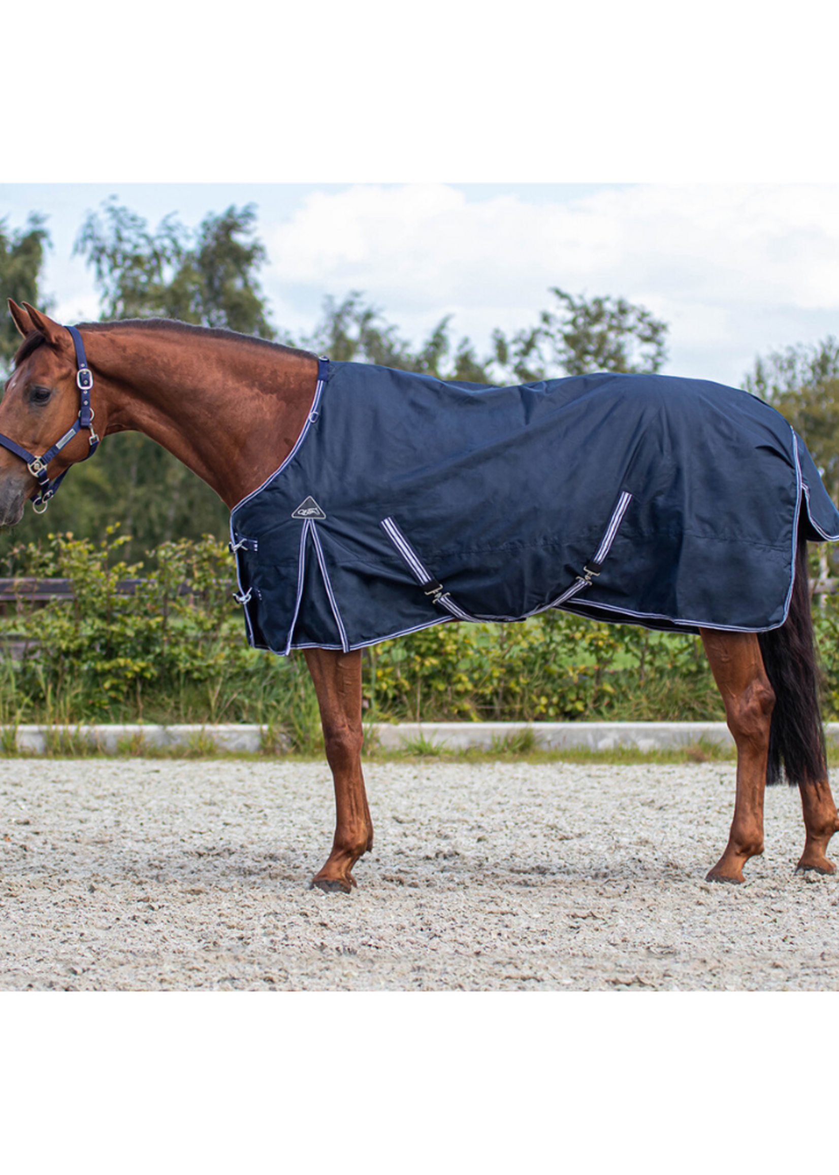 QHP QHP Basis Luxe  Waterdichte Pony  Deken 300gr  6177