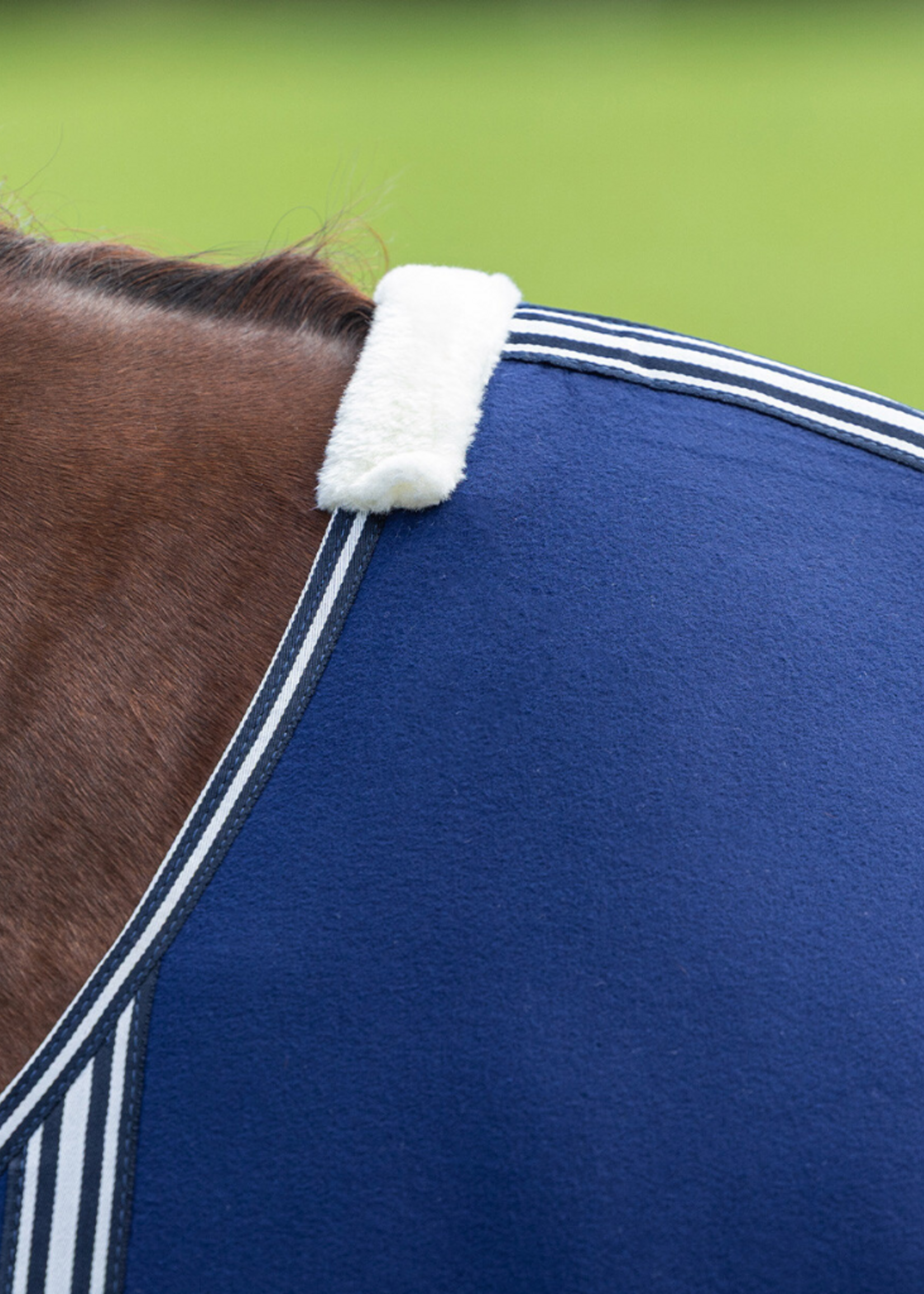 QHP QHP Basis M Singels Fleece Pony  Deken  6018