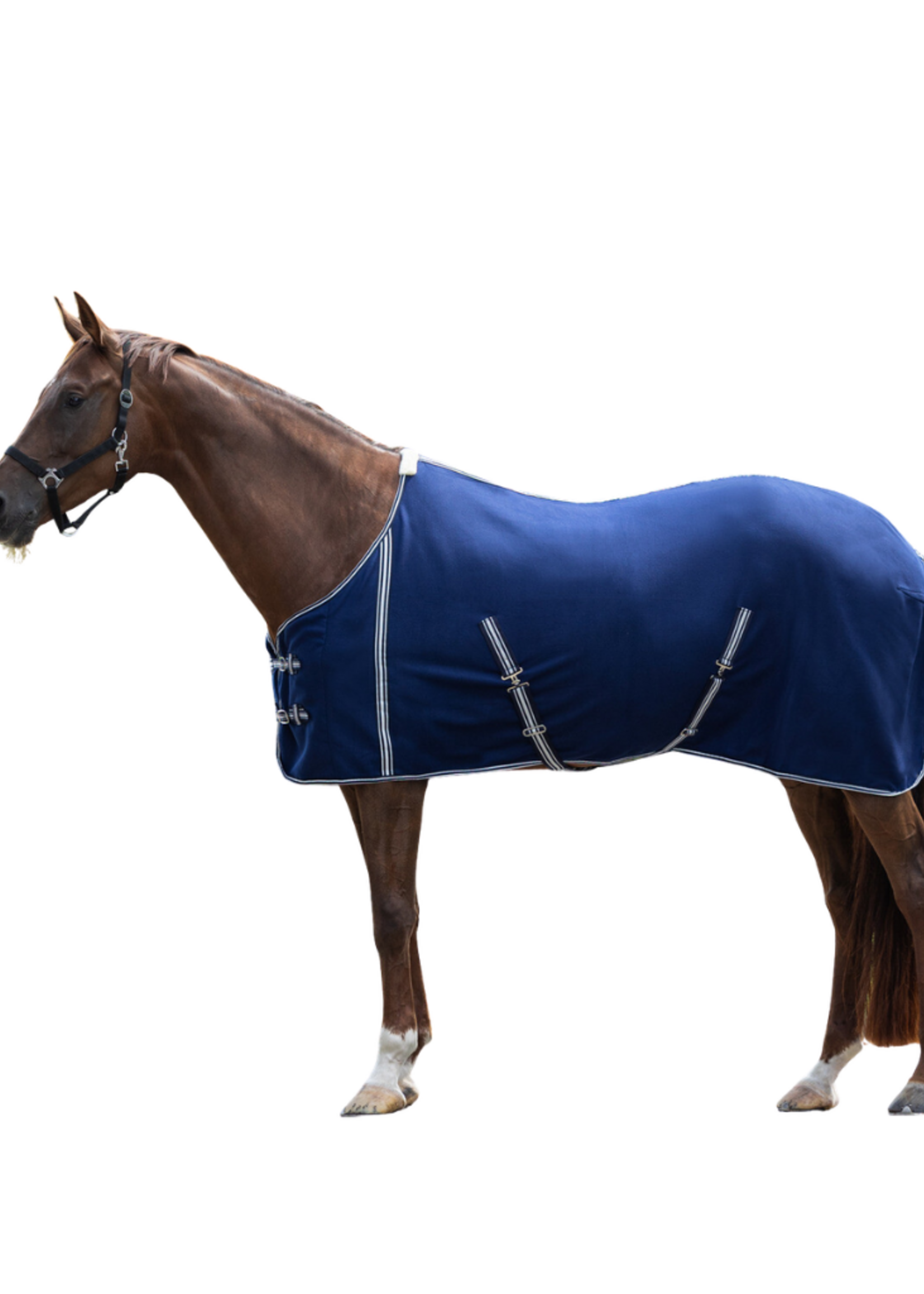 QHP QHP Basis M Singels Fleece Pony  Deken  6018