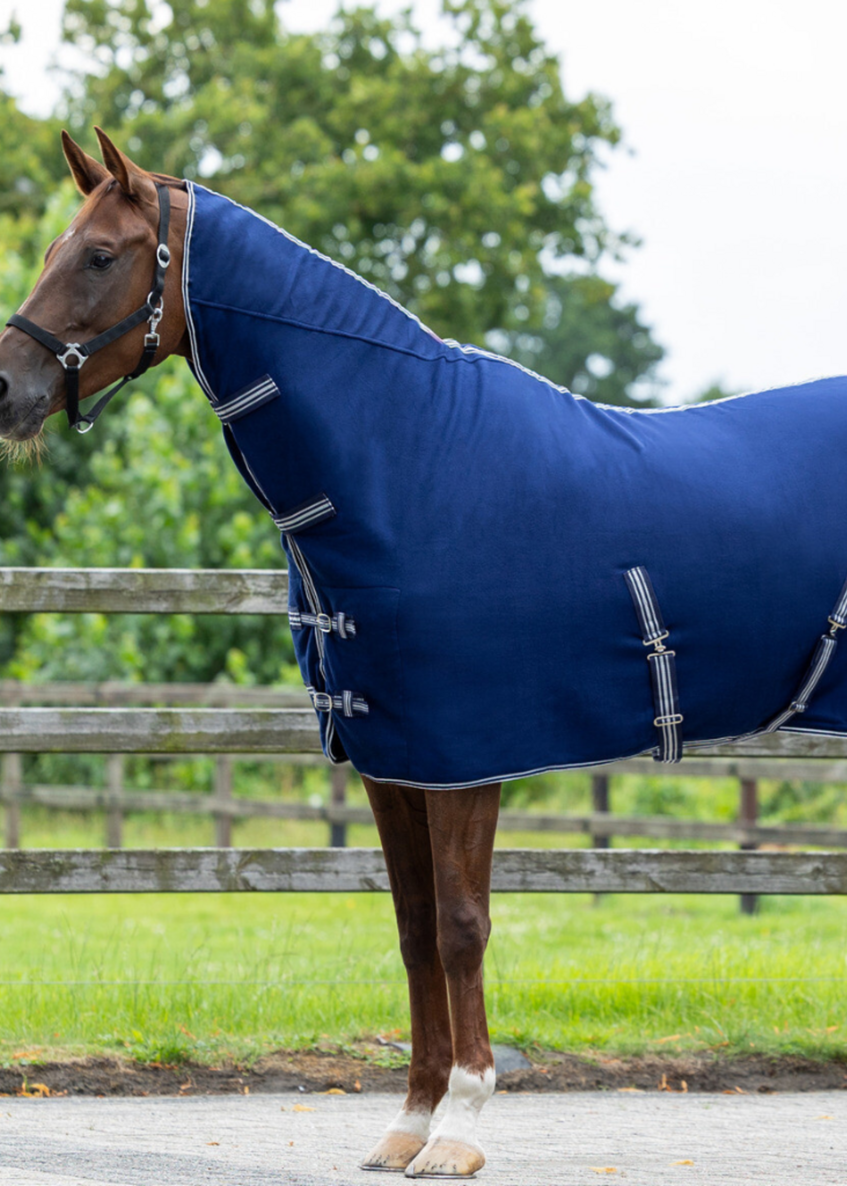 QHP QHP Basis M Hals Fleece Pony Deken  6019