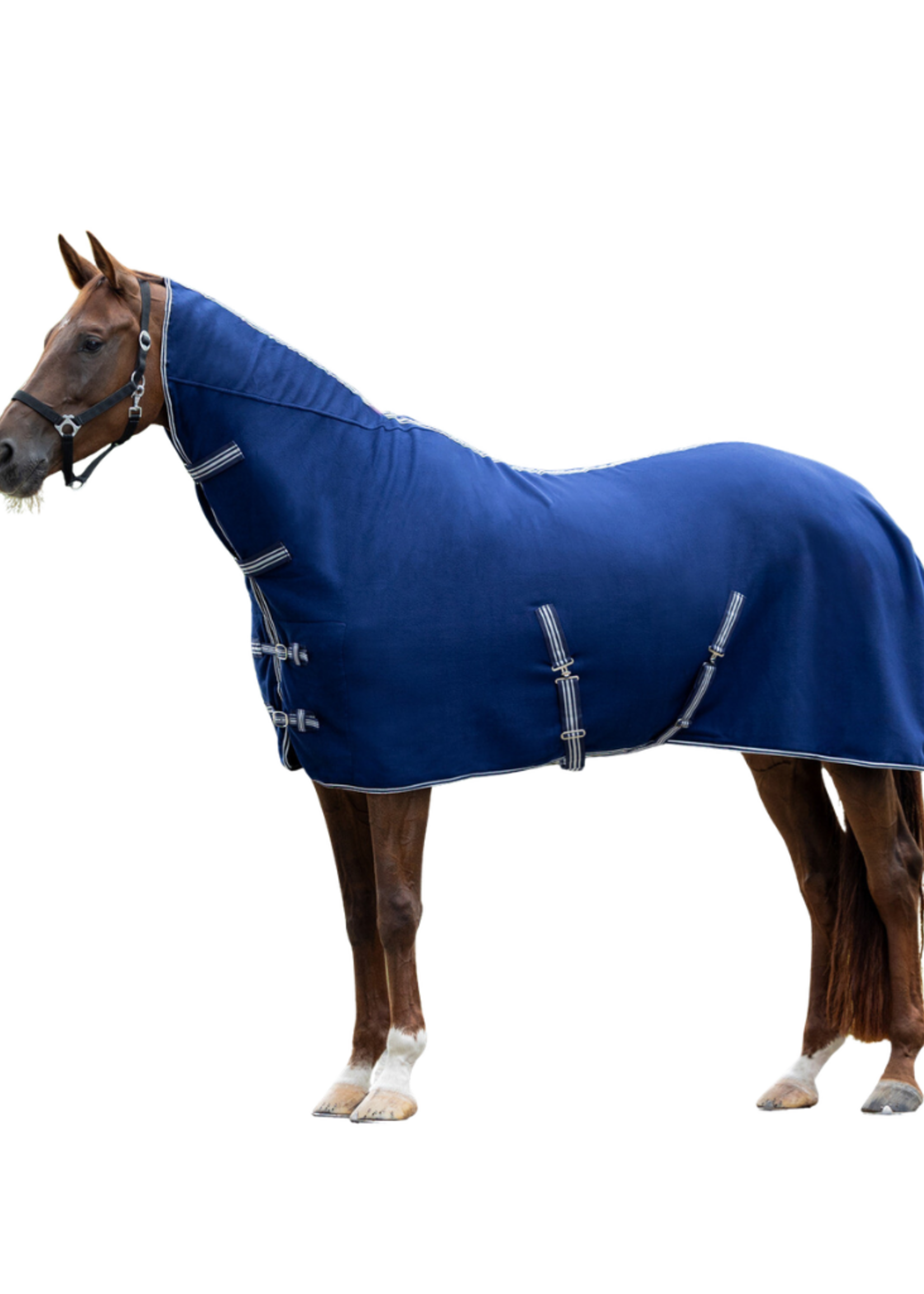 QHP QHP Basis M Hals Fleece Pony Deken  6019