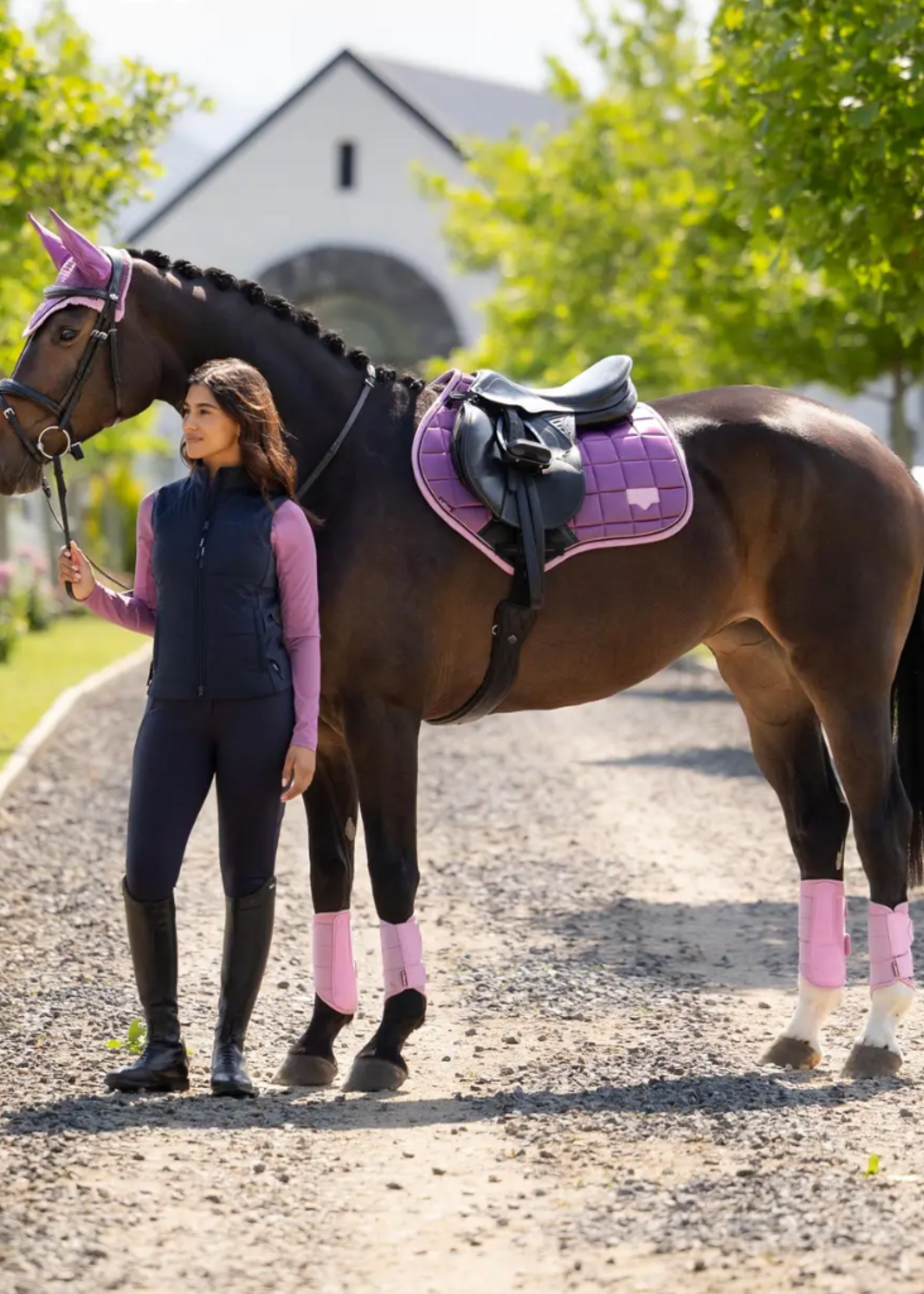 LeMieux Lemieux Coll Loire  Dekje