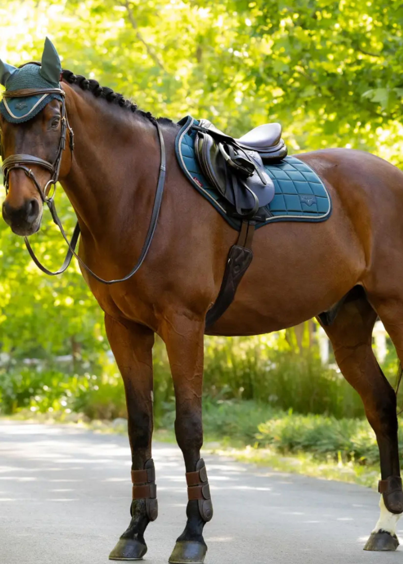 LeMieux Lemieux Coll Loire  Dekje