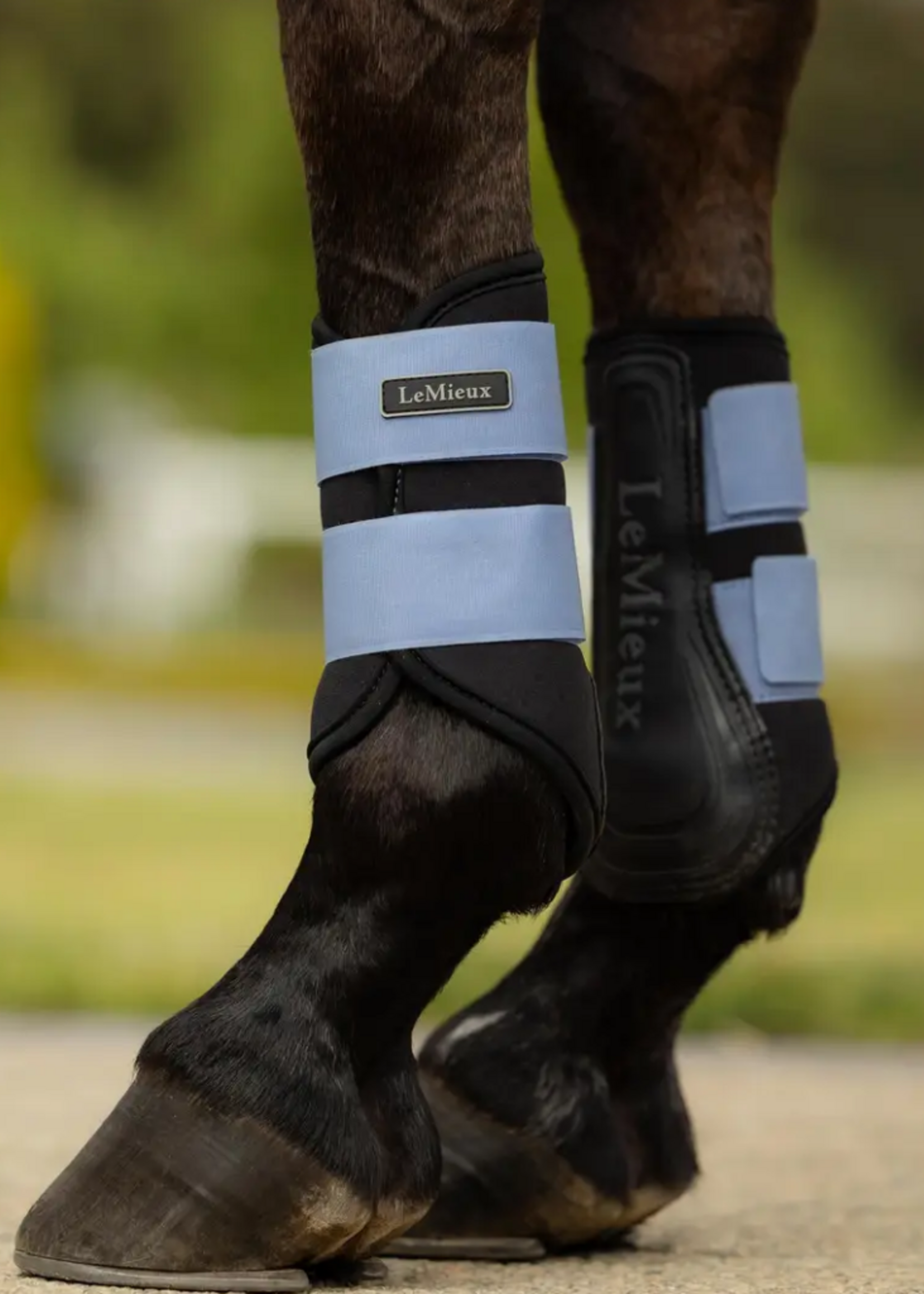 LeMieux Lemieux Grafter  Beenbeschermers