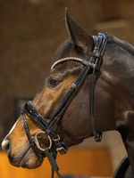 Passier Passier Harmony Hoofdstel