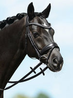 Passier Passier Blu Spirit M strass Front Aansnoer Hoofdstel