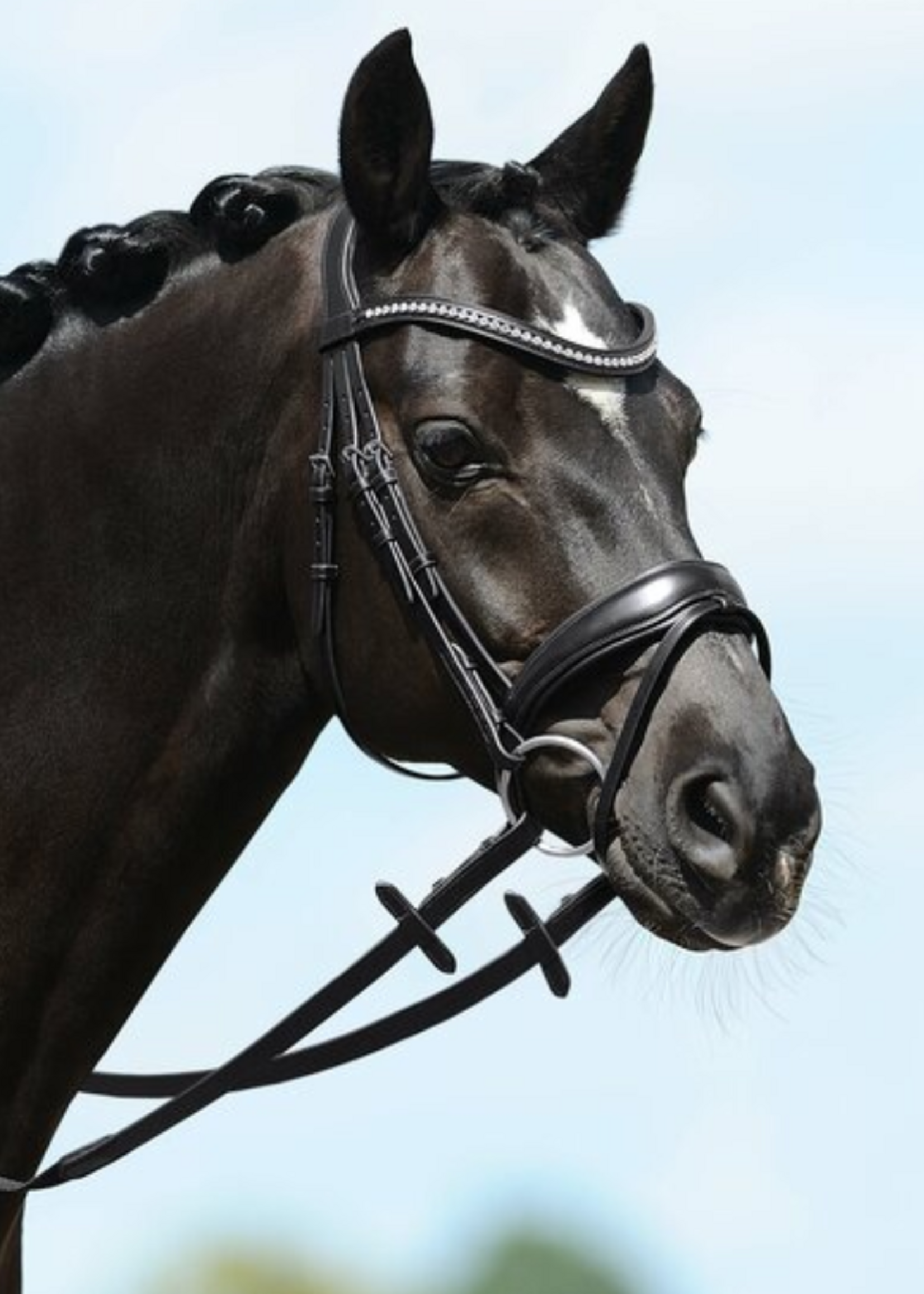 Passier Passier Blu Spirit M strass Front Aansnoer Hoofdstel 825