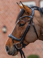 Passier Passier Move Anatomisch  Neusriem, Hoofdstel