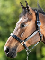 HFI HFI  Leren Halster