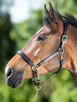 HFI HFI Leren Halster