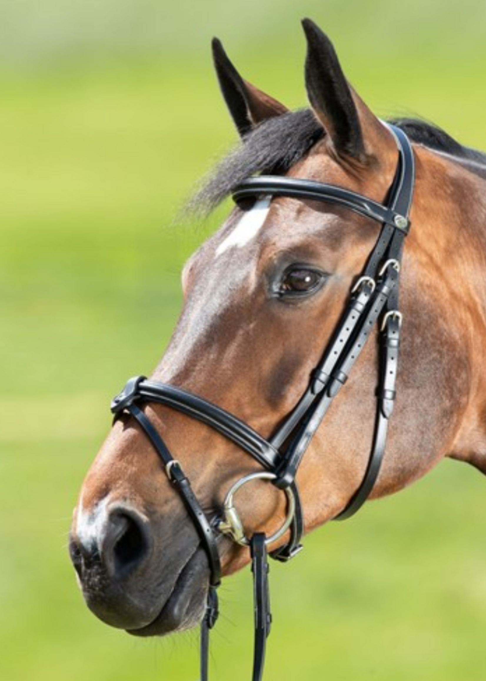 HFI HFI Anatomic Hoofdstel HFI797