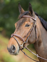 HFI HFI Anatomic Hoofdstel