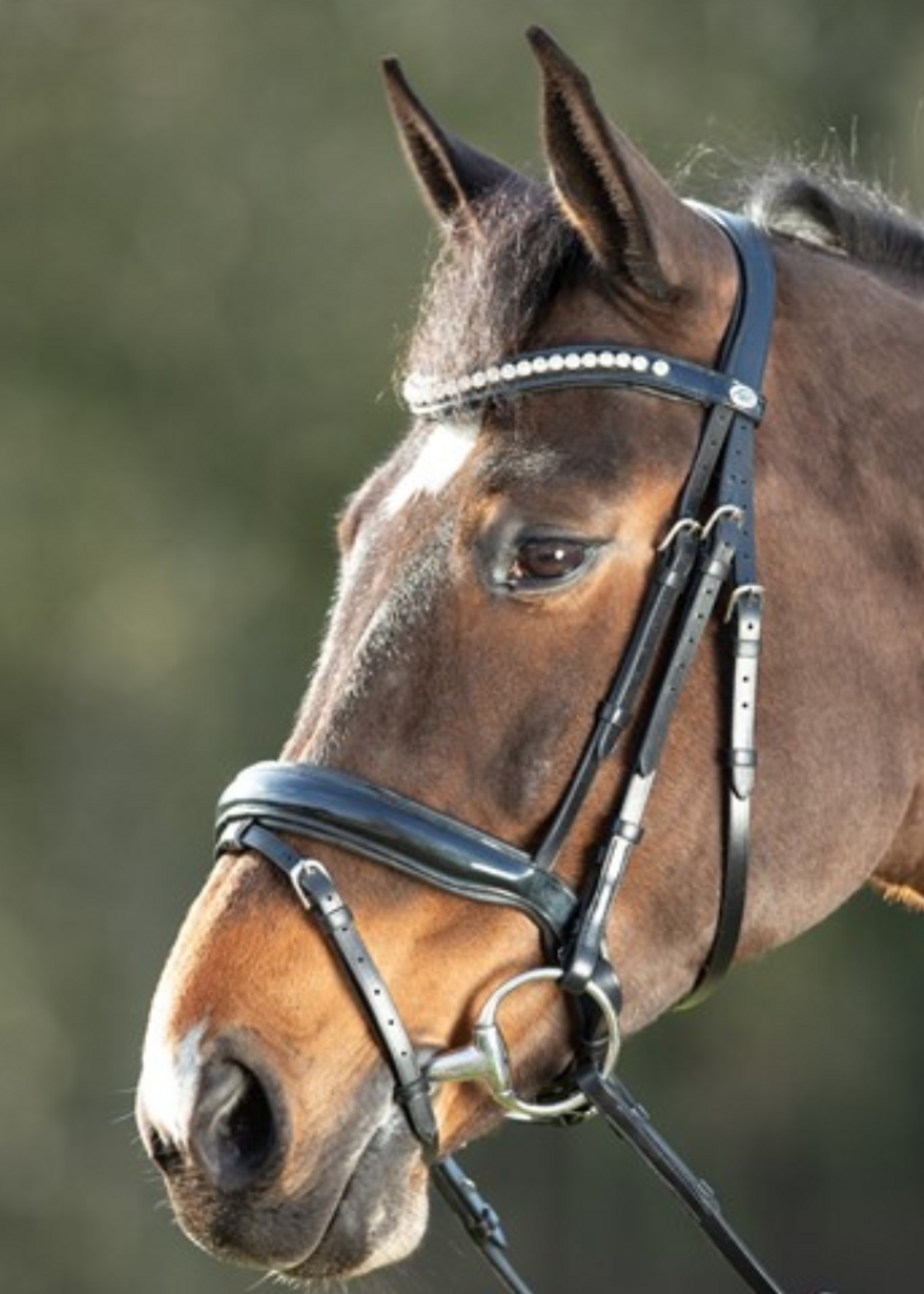 HFI HFI Shiny Hoofdstel HFI014