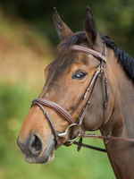 HFI HFI Comfort Hoofdstel