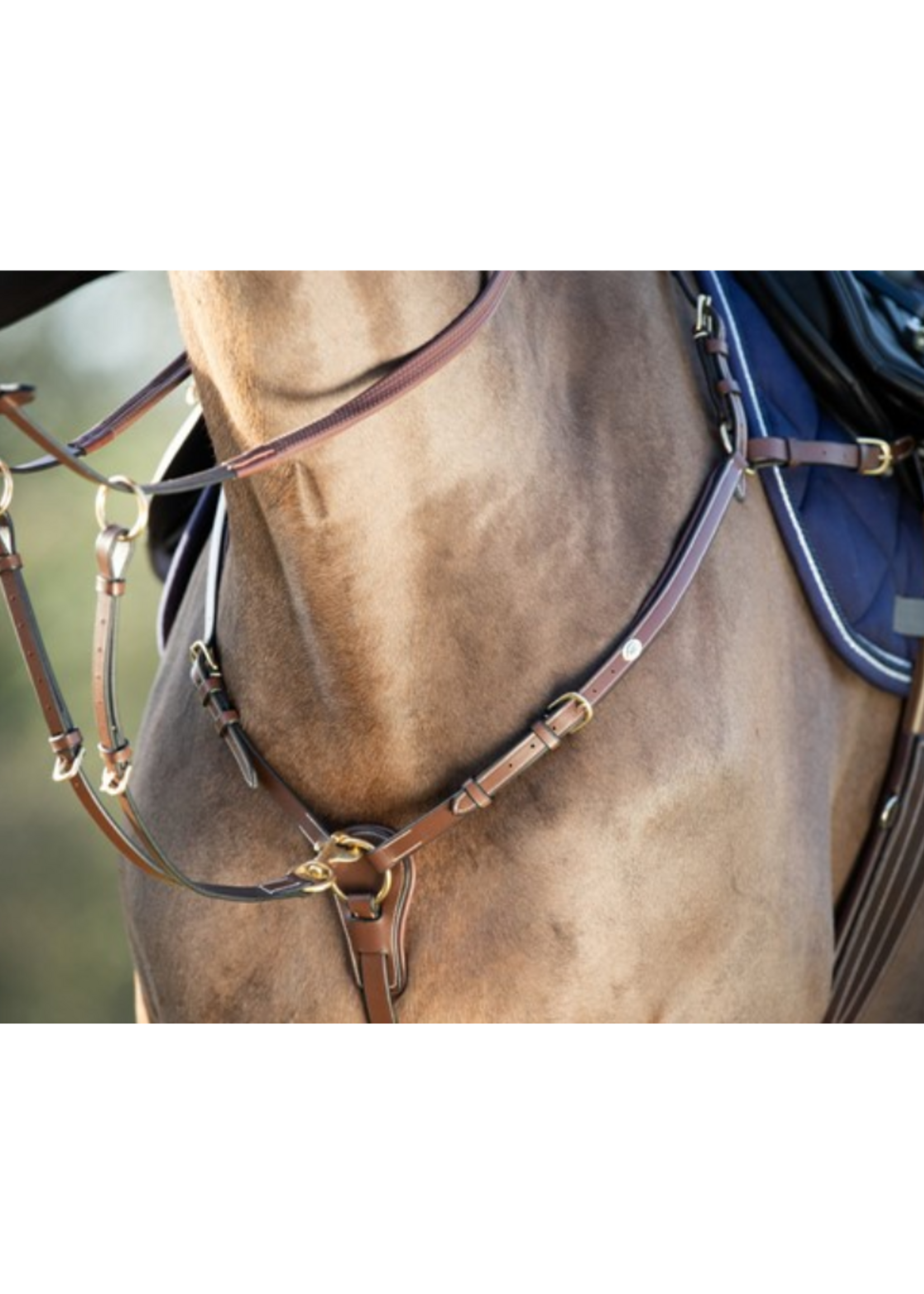 HFI HFI  Martingale HFI012