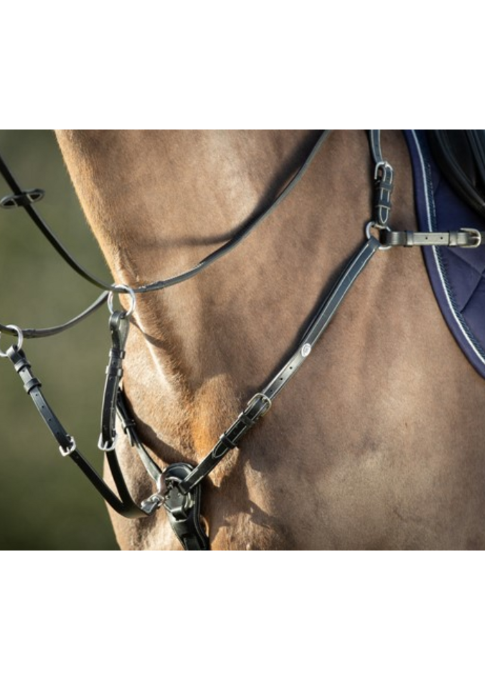 HFI HFI  Martingale HFI012