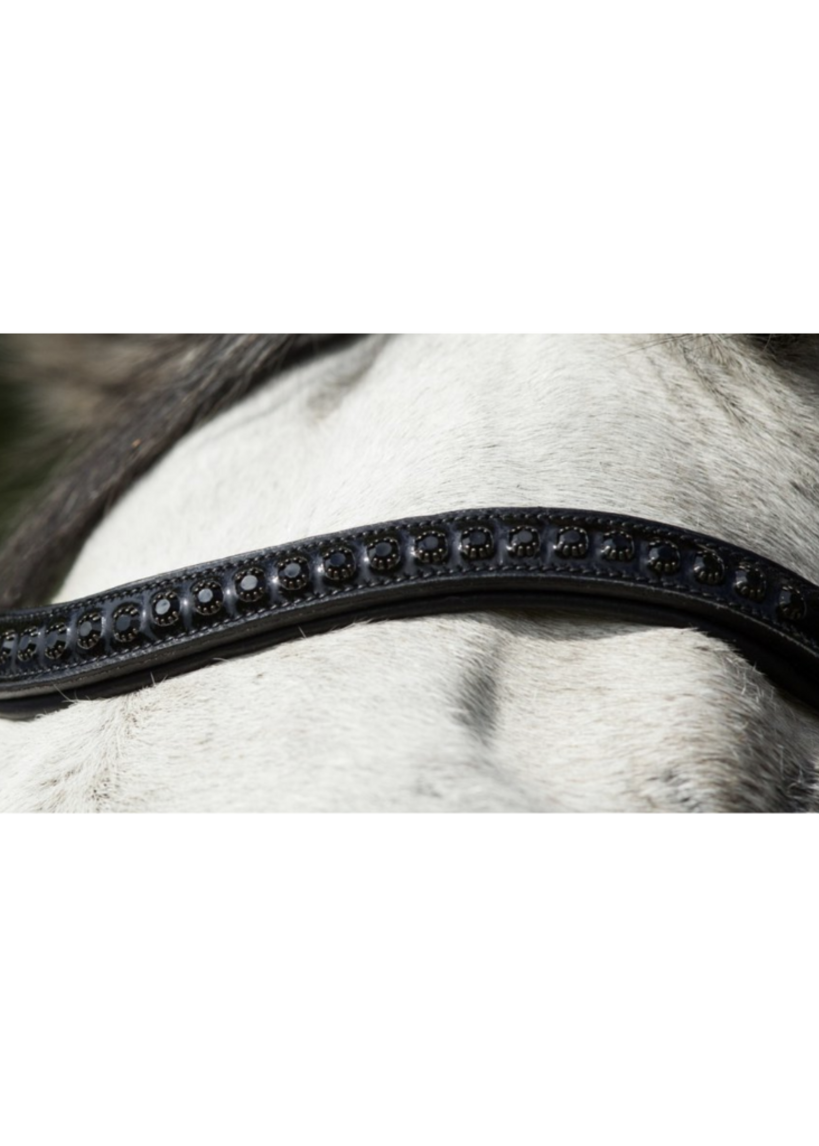 HFI HFI Luxe Hoofdstel HFI011