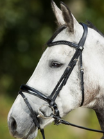 HFI HFI Luxe Hoofdstel