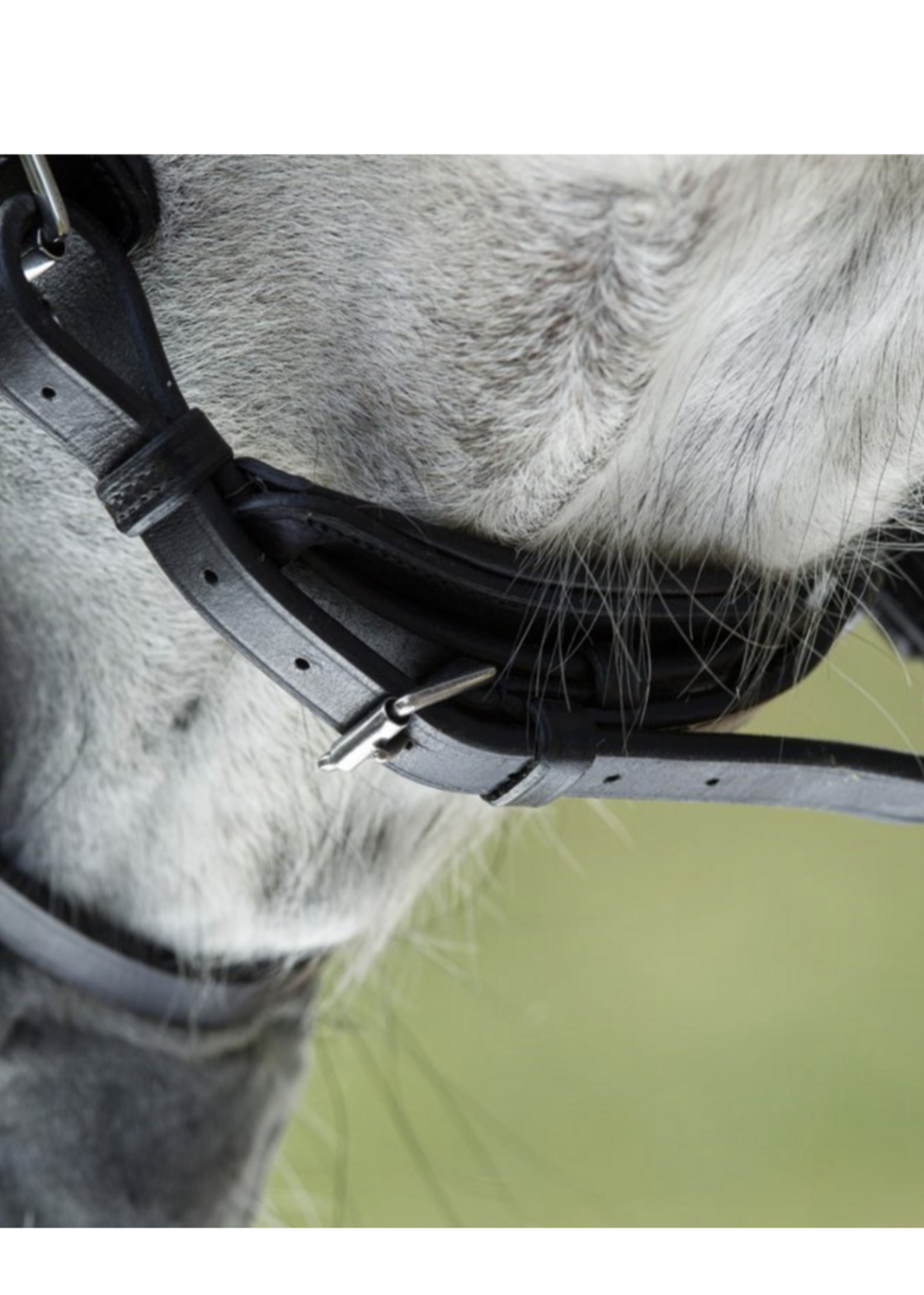 HFI HFI Luxe Hoofdstel HFI011