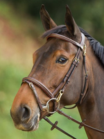 HFI HFI Functional Hoofdstel